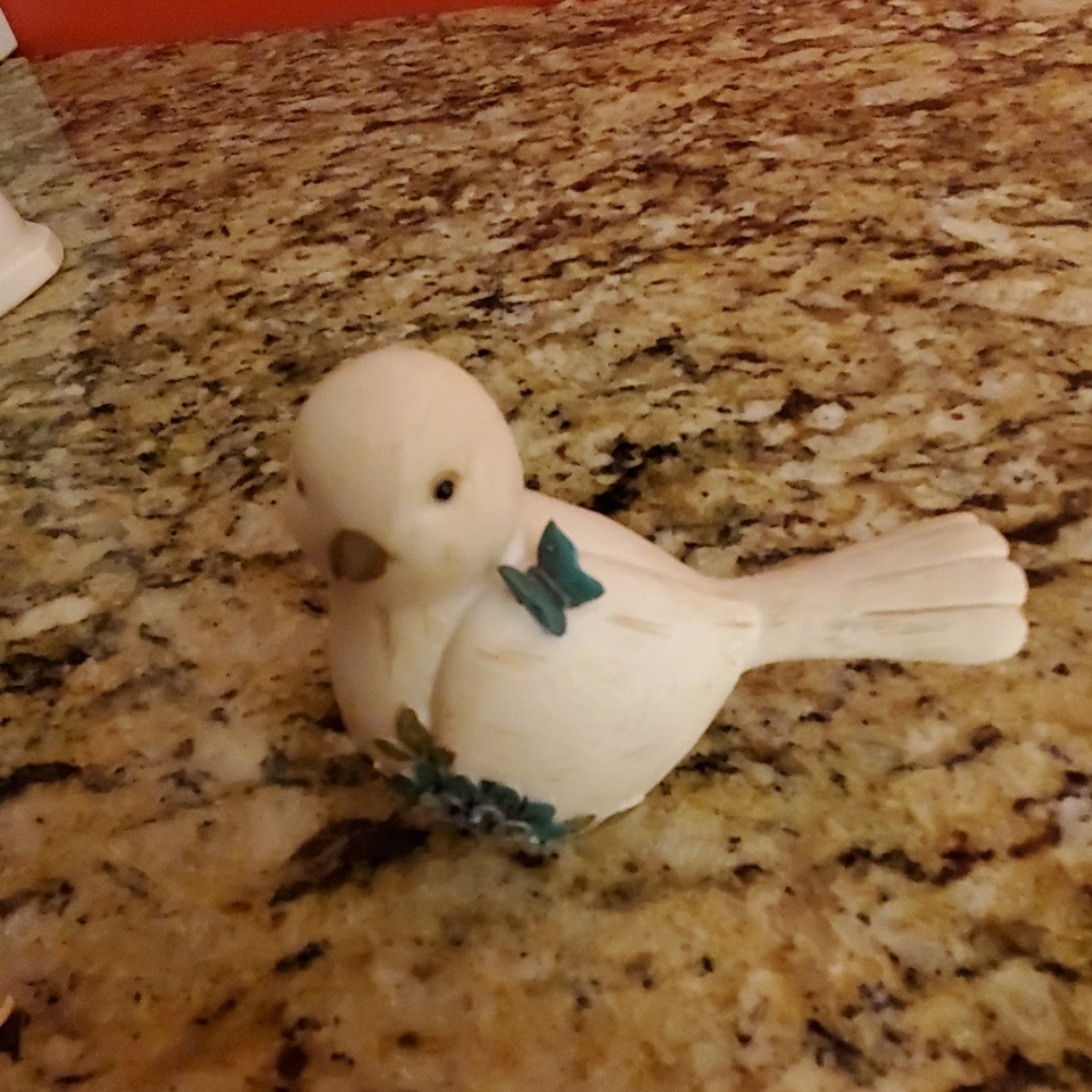 SIMPLE SPIRITS BIRD May 2013